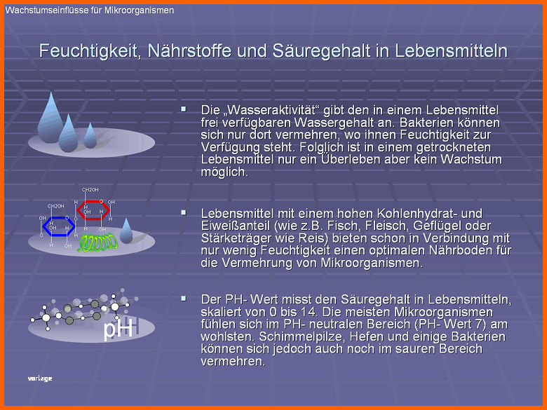 Exklusiv Haccp Hygieneschulung Haccp Schulung Auf Cd Rom Vorlage