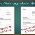 Exklusiv Kündigung Wohnung Mietvertrag Vorlage