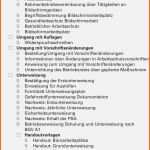 Exklusiv Lebenslauf Vorlage Ideen Part 321