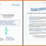 Exklusiv Modele Rapport De Stage Cap Petite Enfance Vends Cours Cap