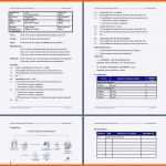 Exklusiv organigramm Vorlage Word