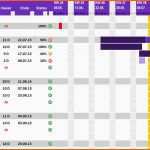 Exklusiv Projektplan Excel