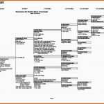 Exklusiv Stammbaum Vorlage Pdf Beste Stammbaum Rainer Unterberger