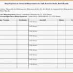 Exklusiv Unterschriften Sammeln Vorlage – Download Vorlagen