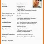 Fabelhaft 14 Lebenslauf Schule
