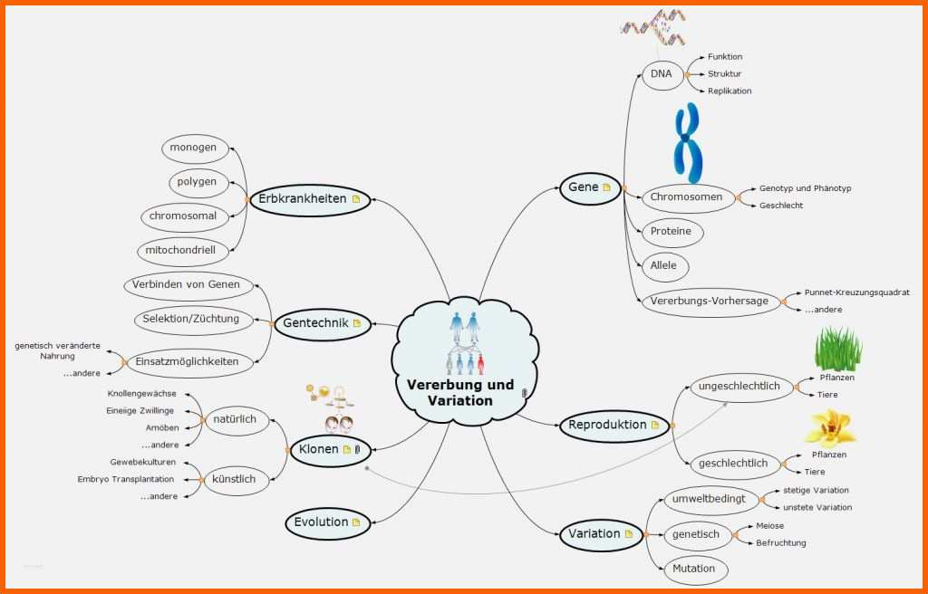 Fabelhaft 87 Einzigartig Mindmap Vorlage Kostenlos Bilder