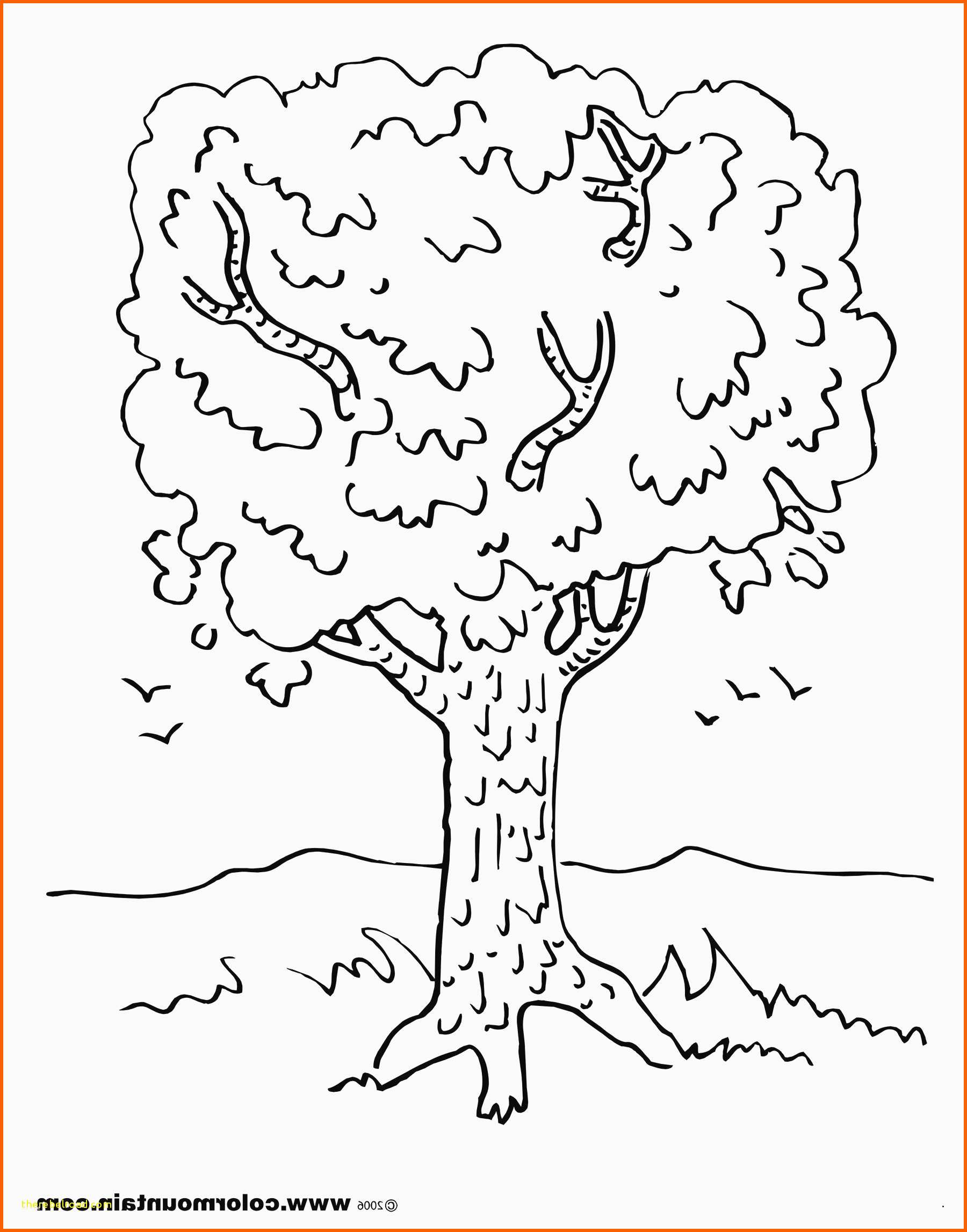 Fabelhaft Baum Vorlage Zum Ausdrucken