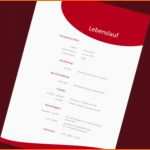 Fabelhaft Bewerbung Als Muster