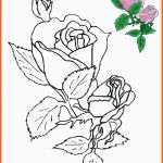 Fabelhaft Blumen Vorlagen 2