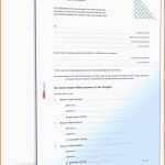 Fabelhaft Die Fabelhaften Berliner Testament Vorlage Kostenlos Pdf