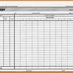 Fabelhaft Inventur Excel Vorlage Kostenlos Wunderbar Inventurbogen