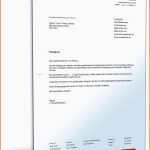 Fabelhaft Muster F R Arbeitnehmer Fristlose K Ndigung Zum Download
