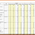 Fabelhaft tool Für Projekt Controlling In Excel