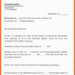 Fantastisch 11 Kündigung Mietvertrag Vermieter Vorlage Pdf