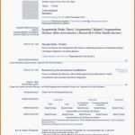 Fantastisch 17 Pdf Vorlage Lebenslauf