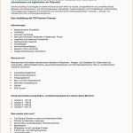 Fantastisch 20 Bewerbung Bundeswehr Karriere