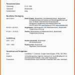 Fantastisch 21 Bewerbung Bufdi Muster