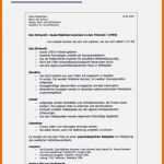 Fantastisch Handout Vorlage Word Best Niedlich Vorlage Handout