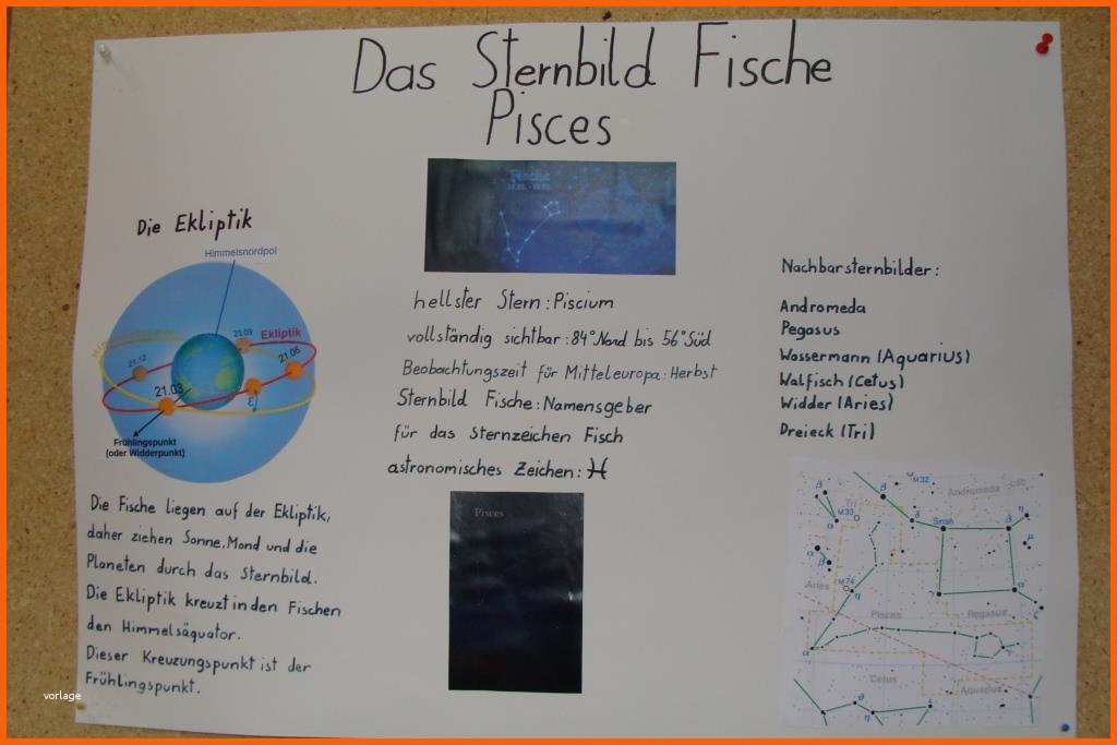 Fantastisch Plakat Gestalten Für Referat Oow99