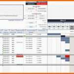 Fantastisch Projektplan Excel Download
