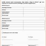 Fantastisch Selbstauskunft Mieter Vorlage Invitation Templated