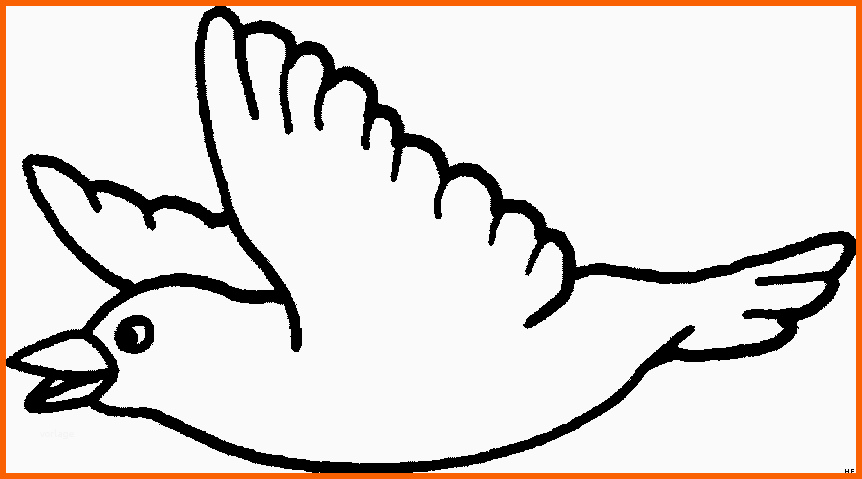 Fantastisch Vogel Fliegend Seitlich Ausmalbild & Malvorlage Tiere