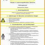 Faszinieren 17 Vorlage Arbeitsanweisung