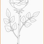 Faszinieren Ausmalbilder Zum Ausmalen Malvorlagen Rosen Kostenlos 3