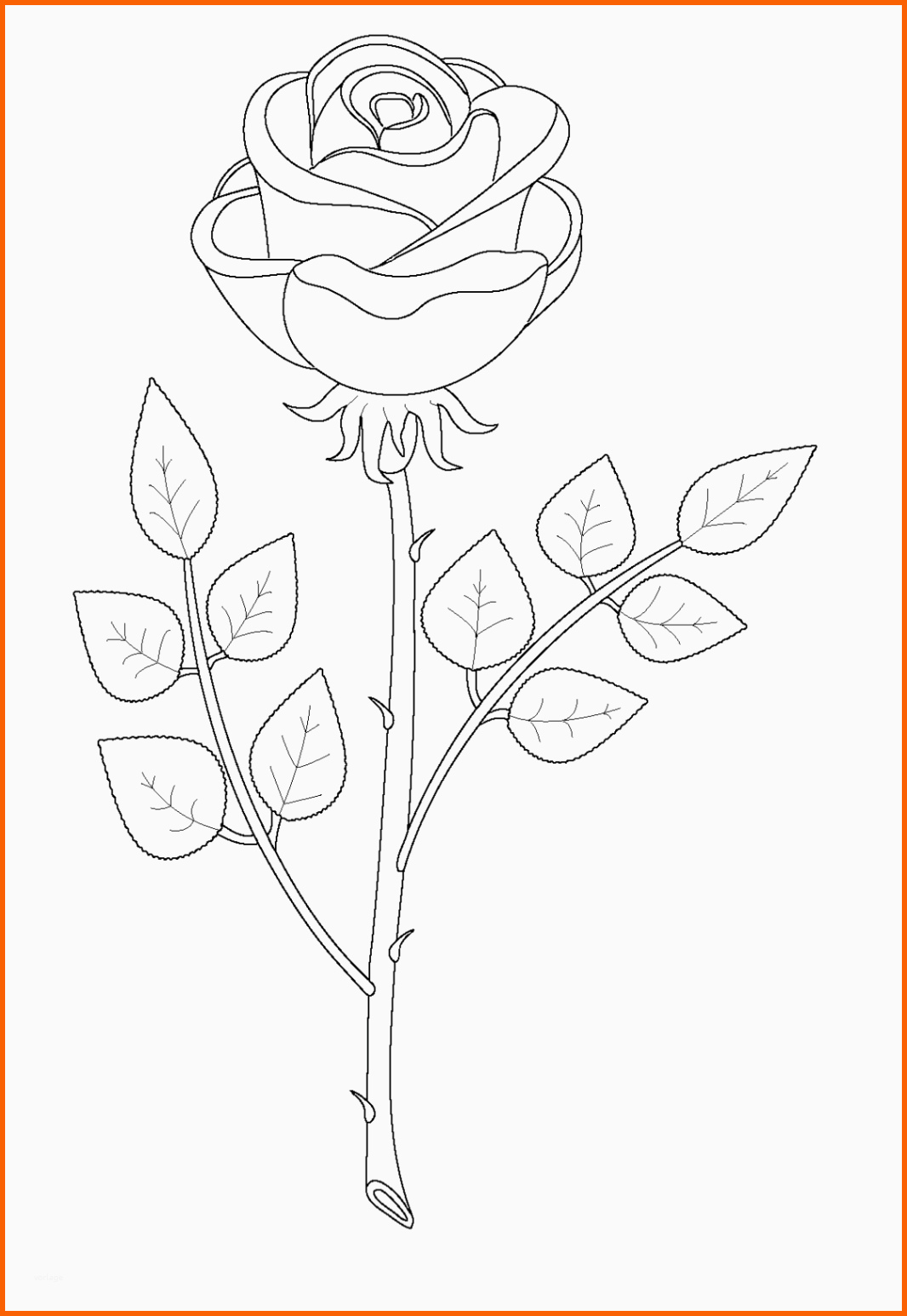 Faszinieren Ausmalbilder Zum Ausmalen Malvorlagen Rosen Kostenlos 3