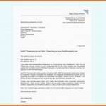 Faszinieren Bewerbungsschreiben In Word Erstellen Professionelles