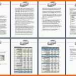Faszinieren Businessplan Vorlage Pdf Papacfo