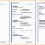 Faszinieren Lebenslauf Vorlage Word Download Für Different 30 Elegant