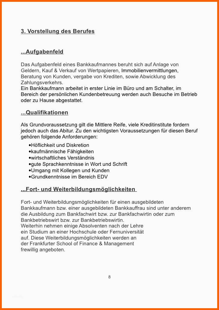 Faszinieren Praktikumsmappe Sead Berisa