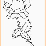 Faszinieren Rote Rose Zum Selbst Ausmalen Nadines Ausmalbilder