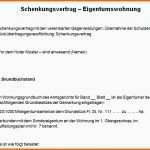 Faszinieren Schenkungsvertrag Muster Testament Vorlage