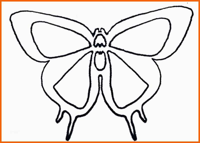 Faszinieren Schmetterling Schablone Vorlage