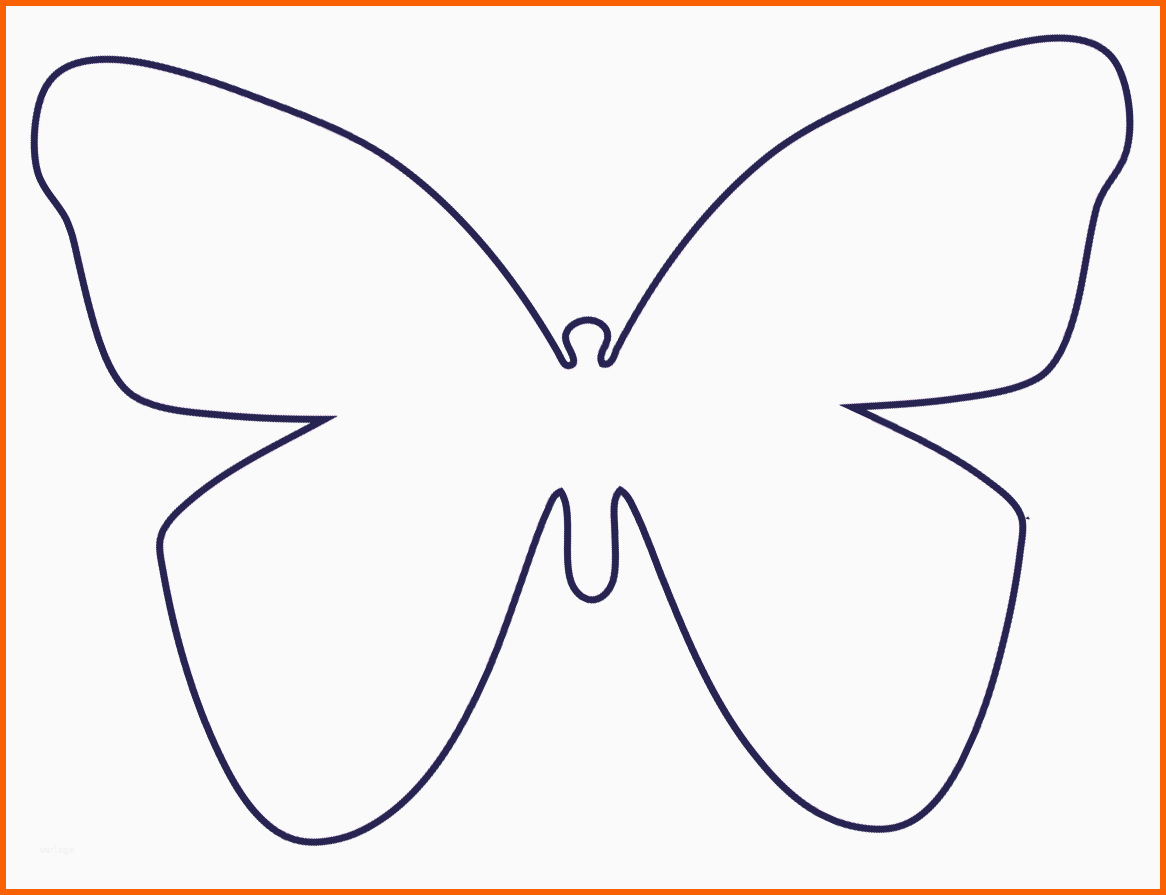 Faszinieren Schmetterling Vorlage 591 Malvorlage Vorlage Ausmalbilder