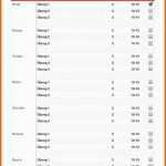 Großartig 8 Trainingsplan Pferd Vorlage