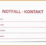 Großartig Biologischer Anti Zecken Snack Für Hunde