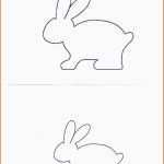 Großartig Dieser Hase ist Auf Draht – Oder – My First Easter Bunny