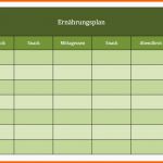 Großartig Ernährungsplan Als Excel Vorlagen