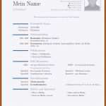Großartig Latex Lebenslauf Vorlage