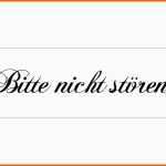 Großartig Metallschild Blechschild Türschild Bitte Nicht StÖren Hinwe