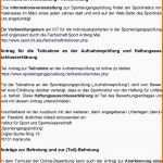Großartig Sporteingangsprüfung Pdf