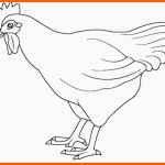 Großartig Vorlagen Zum Ausmalen Malvorlagen Huhn Henne Ausmalbilder 2