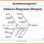 Größte 13 ishikawa Diagramm Vorlage