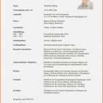 Größte 15 Lebenslauf Ausbildung Muster Word