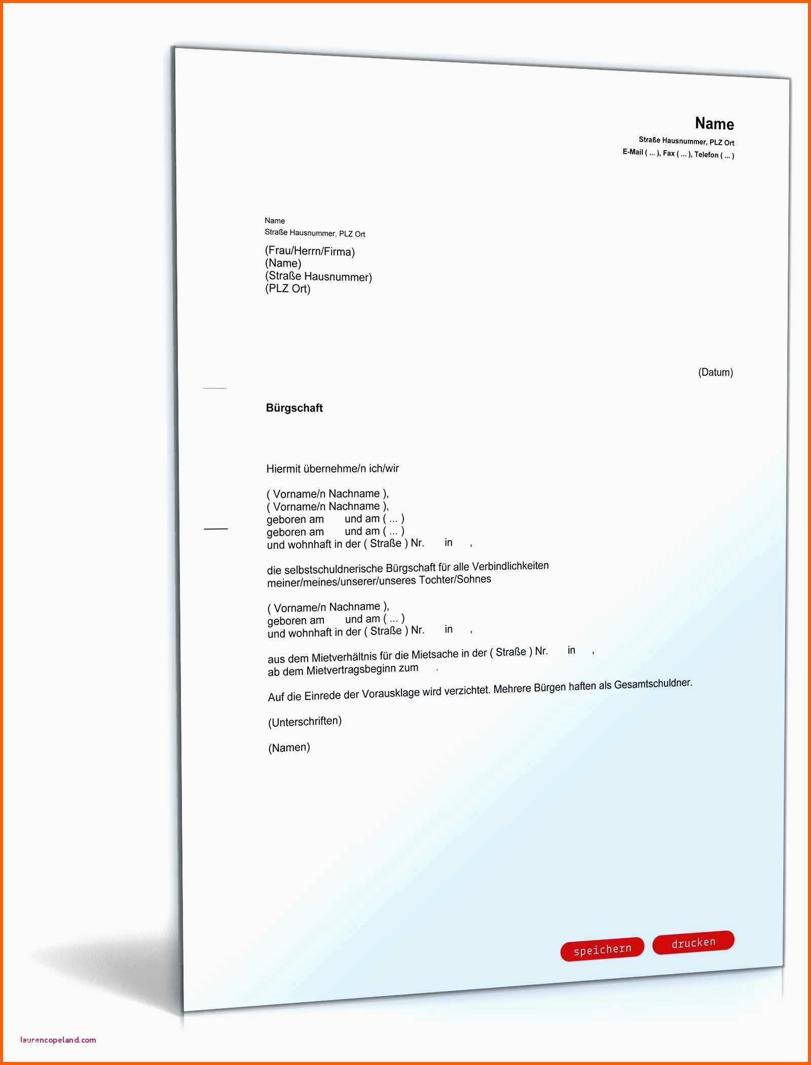 Größte 49 Finanzielle Burgschaft Vorlage Laurencopeland