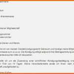 Größte Antrag Darlehen Stromschulden Vorlage Papacfo