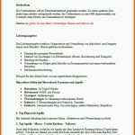 Größte Businessplan Reiseveranstalter Muster Vorlage Zum Download